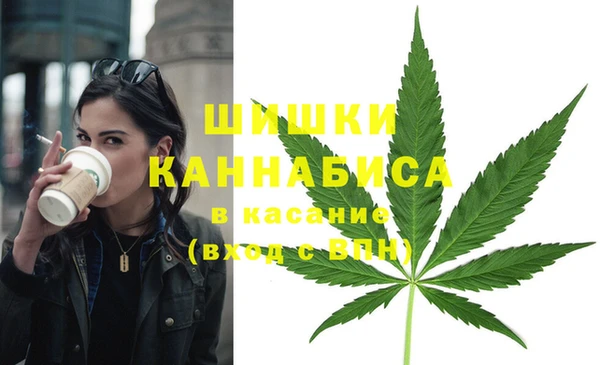 гидропоника Бронницы