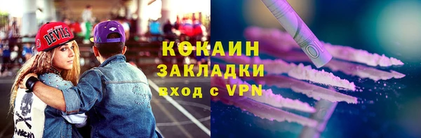 дурь Бородино