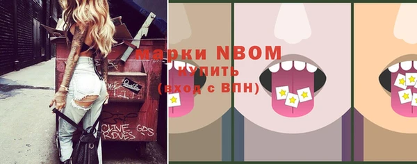 дурь Бородино