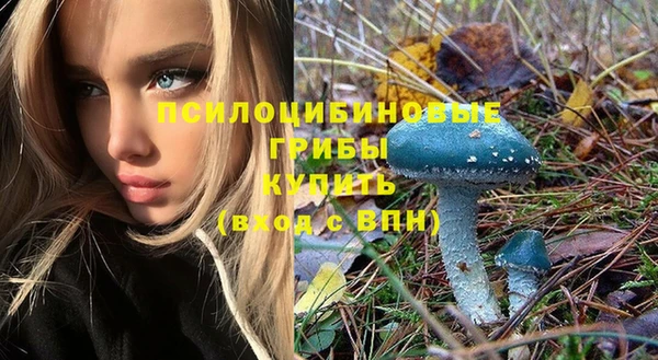 дурь Бородино