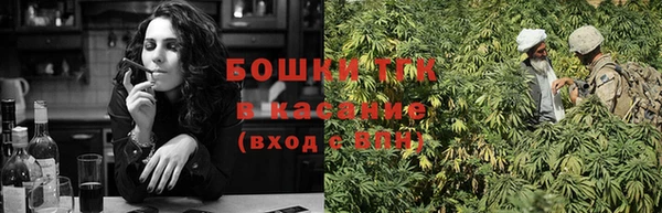 дурь Бородино