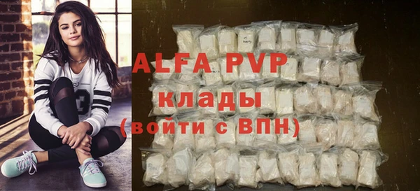 дурь Бородино