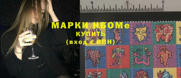 дурь Бородино