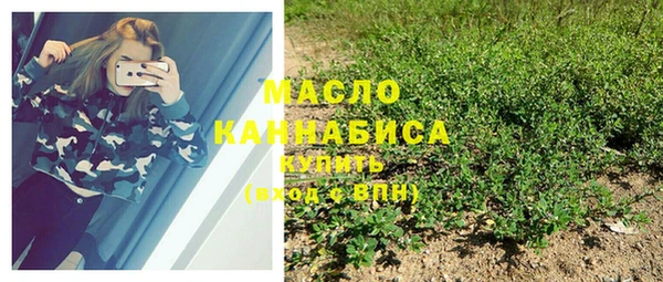 дурь Бородино