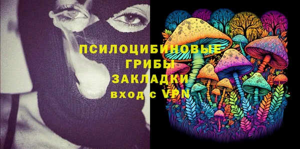 дурь Бородино