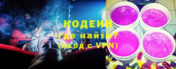 дурь Бородино