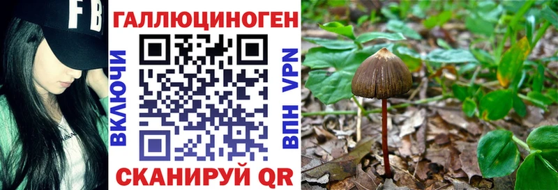 Галлюциногенные грибы мухоморы  Медногорск 