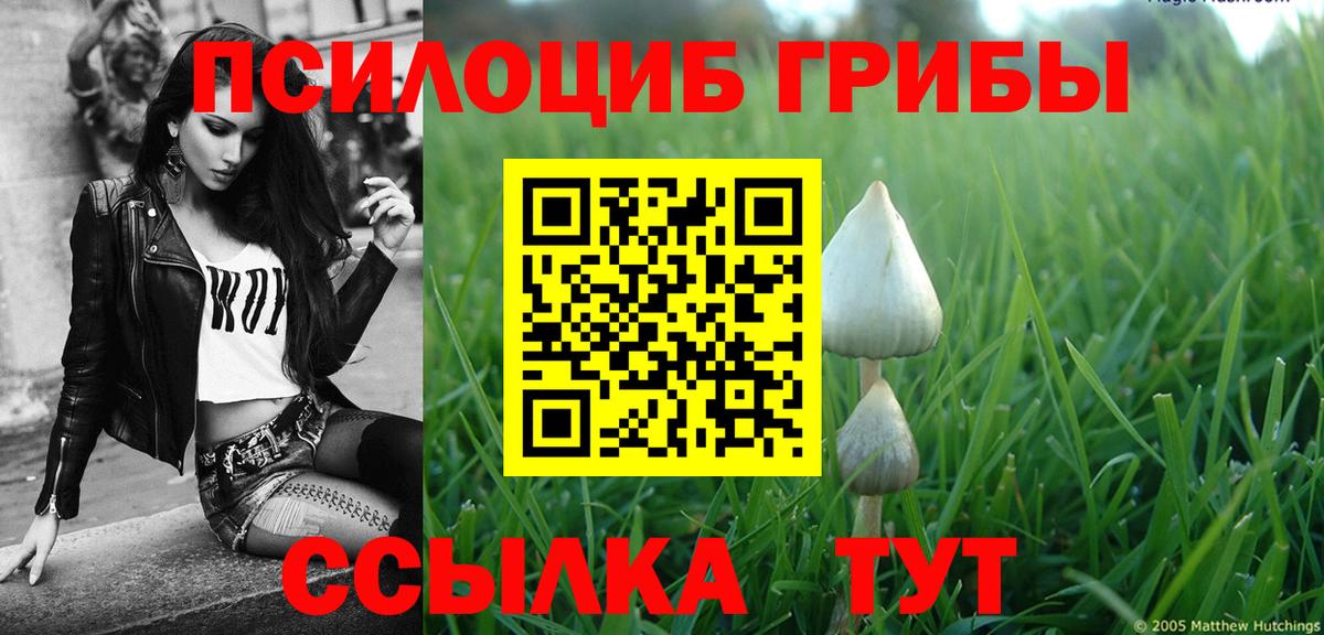 Псилоцибиновые грибы Cubensis  Вход с VPN  Галлюциногенные грибы MAGIC MUSHROOMS  Медногорск 
